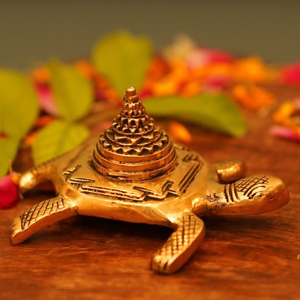 Turtle with Pyramid